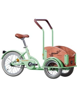 Bicicleta Pegas Mini Cargo Verde Fistic