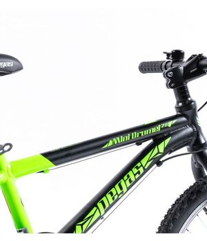 Bicicleta MTB Copii Pegas Mini Drumet 20'' Negru mat - Verde